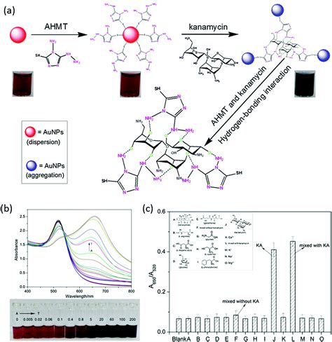 AHMT functionalized g